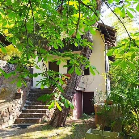 Torre Garden - Casa Singola Nella Citta Di Con Giardino Privato Dom wakacyjny *