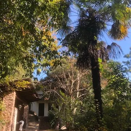 Torre Garden - Casa Singola Nella Di Con Giardino Privato Bozen