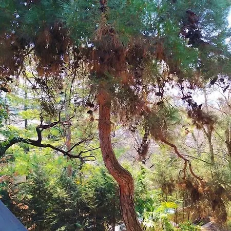 Hébergement de vacances Torre Garden - Casa Singola Nella Di Con Giardino Privato Bozen