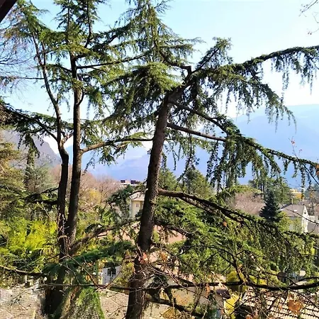 Torre Garden - Casa Singola Nella Di Con Giardino Privato * Bozen