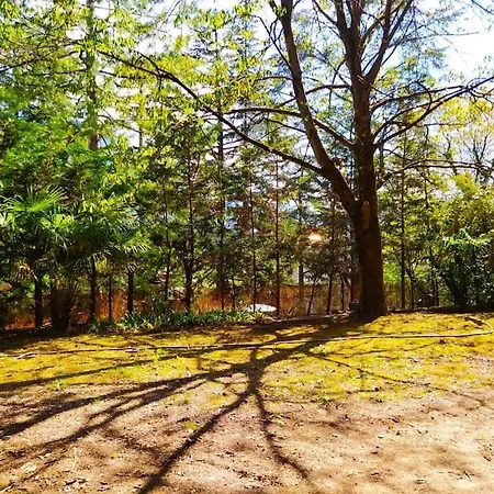 Torre Garden - Casa Singola Nella Di Con Giardino Privato Hébergement de vacances