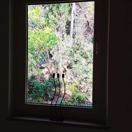 Hébergement de vacances Torre Garden - Casa Singola Nella Di Con Giardino Privato *