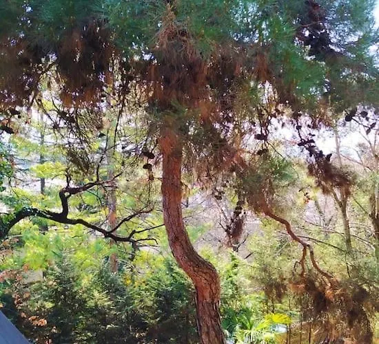 Будинок відпочинку Torre Garden - Casa Singola Nella Citta Di Con Giardino Privato Больцано