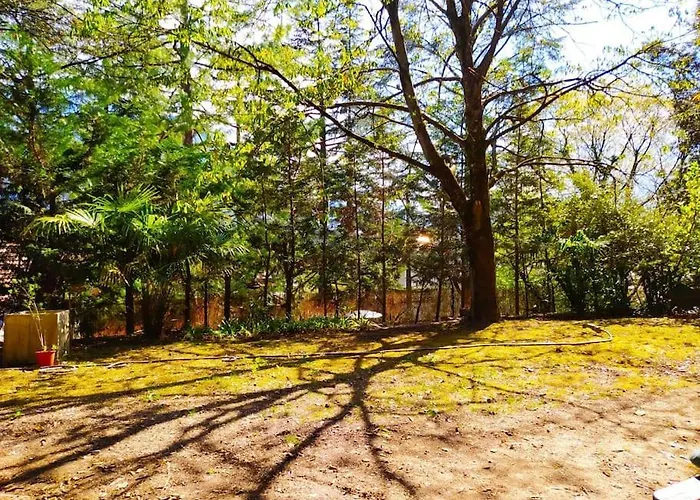 Torre Garden - Casa Singola Nella Citta Di Con Giardino Privato Будинок відпочинку