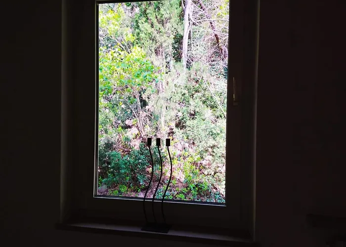 בית נופש Torre Garden - Casa Singola Nella Citta Di Con Giardino Privato *